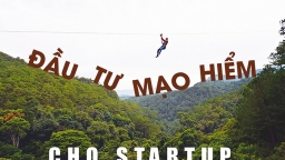 Đầu tư mạo hiểu cho Startup: Không đầu tư giai đoạn đầu, chỉ đầu tư dự án lớn