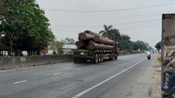 Tái xuất hiện đoàn “xe vua” chở gỗ kém an toàn trên Quốc lộ 1A