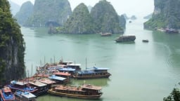 Dịch Covid-19: Ngân sách Hạ Long hụt thu gần 2.000 tỷ đồng từ tiền thuế, phí, lệ phí