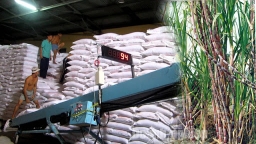Áp dụng biện pháp phòng vệ phù hợp để bảo vệ sản xuất mía đường trong nước