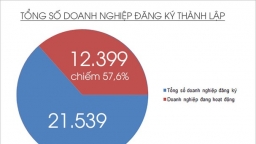 Đăng ký thành lập doanh nghiệp qua mạng ở Nghệ An cao nhất nước