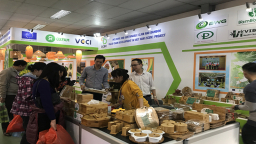 Mở rộng thị trường xuất khẩu tre: Phát triển sản phẩm mới, cung cấp sản phẩm Trung Quốc không thể sản xuất