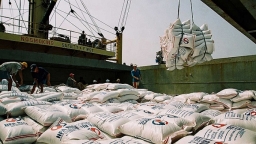 Bộ Tài chính đề nghị dừng xuất khẩu gạo tẻ thường
