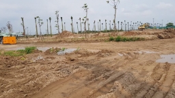 Hưng Yên: San lấp trái phép đất trồng lúa, Công ty Phương Lan bị phạt 160 triệu đồng