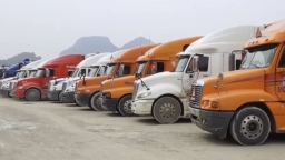 Lạng Sơn kiến nghị tạm dừng tiếp nhận hàng xuất khẩu tại cửa khẩu Tân Thanh