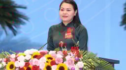 Chủ tịch Hội Liên hiệp Phụ nữ Việt Nam làm Bí thư Ninh Bình