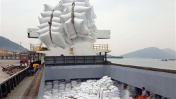 Hơn 53.300 tấn gạo xuất khẩu bị hủy tờ khai hải quan