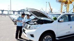 Hàng chục xe Nissan bị 'bỏ quên' ở cảng Hải Phòng không ai nhận