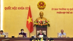 Kịch bản nào cho kinh tế Việt Nam thời hậu COVID-19?