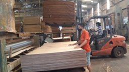 Bộ Công Thương lên tiếng việc Hàn Quốc cáo buộc gỗ dán Việt Nam bán phá giá