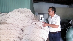 Ấn Độ điều tra chống bán phá giá sợi polyeste xuất xứ Việt Nam