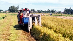 Tác động của công nghệ số đến năng suất lao động ngành nông nghiệp