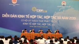 Sắp diễn ra Diễn đàn kinh tế hợp tác, hợp tác xã 2020