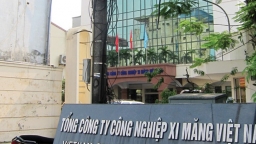 Phát hiện hàng loạt sai phạm tại Vicem Việt Nam