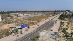 Chây ì nộp thuế, Công ty Sài Gòn - Thành Đạt bị cưỡng chế tài khoản