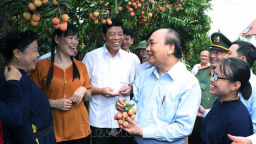 Thủ tướng dự lễ xuất khẩu vải thiều sang các thị trường hàng đầu