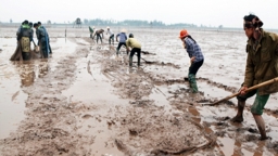 Nâng cao năng lực tiếp thị, phát triển thị trường cho người sản xuất nghêu, tre quy mô nhỏ