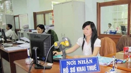 TP. Pleiku, Gia Lai: Hơn 3.000 doanh nghiệp còn nợ đọng thuế