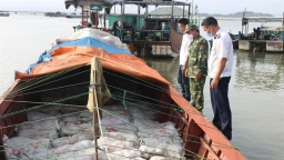 Quảng Ninh: Bắt giữ, tiêu hủy gần 16 tấn thực phẩm bẩn
