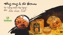 Đông trùng hạ thảo Vietfarm: Từ 'vàng mềm Tây Tạng' đến tiên dược Việt