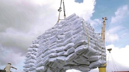 80.000 tấn gạo miễn thuế được xuất vào EU mỗi năm