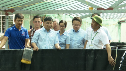 Doanh nghiệp bắt tay nhà khoa học mang sản phẩm cá sạch đến với người sử dụng