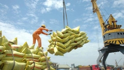 Bảy tháng đầu năm, duy nhất xuất khẩu gạo có sự tăng trưởng