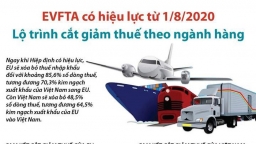 EVFTA có hiệu lực từ 1/8, lộ trình cắt giảm thuế như thế nào?