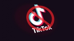 Vì sao Mỹ quyết diệt TikTok?