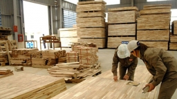 Kiểm tra việc áp dụng mã HS đối với nhóm các mặt hàng gỗ cao su xuất khẩu
