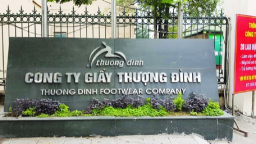 Tại sao Cục Thuế ngừng sử dụng hóa đơn đối với CTCP Giày Thượng Đình?