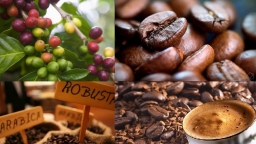 Giá cà phê giảm, hồ tiêu tiến sát mức 50.000 đồng/kg