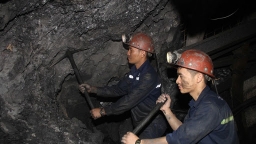 Thợ mỏ Trung Quốc từng mắc Covid-19 từ năm 2012?