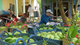 Doanh nghiệp 'xài chùa' mã số đóng gói