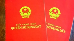 Cán bộ 'cuỗm' 19 sổ đỏ của dân cho bạn mượn: Cơ quan công an vào cuộc