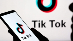 Vũ điệu thăng hoa của các hãng đồ chơi trên TikTok