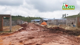 Đắk Nông: Công ty Chăn nuôi Quảng Sơn xây dựng trang trại không phép
