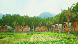 Hà Nội lập tổ công tác kiểm tra các dự án farmstay