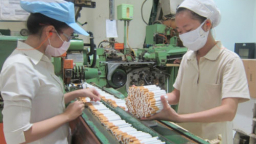 Giấy phép sản xuất thuốc lá có thời hạn là 5 năm?