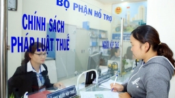 Quảng Ninh: Công khai  451 doanh nghiệp nợ thuế, doanh nghiệp đứng đầu nợ gần 344 tỷ đồng