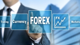 Chưa có bất kỳ sàn đầu tư chứng khoán Forex nào được cấp phép