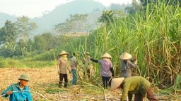 Kỷ yếu hội thảo 'Giải pháp cho ngành mía đường Việt Nam trong tình hình mới'