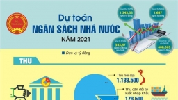 Dự toán ngân sách nhà nước năm 2021