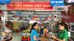 Đưa hàng Việt Nam vào hệ thống phân phối nước ngoài: Kênh xuất khẩu hiệu quả, bền vững