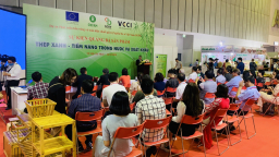 Vật liệu Tre: Tiềm năng trong nước và xuất khẩu