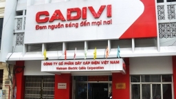 Dây cáp điện Việt Nam sắp chia cổ tức với tỷ lệ 30%