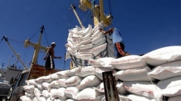 Lần đầu tiên xuất khẩu gạo sang Philippines đạt hơn 1 tỷ USD