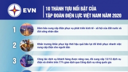 10 thành tựu nổi bật của Tập đoàn Điện lực Việt Nam năm 2020