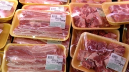Philippines xem xét giảm thuế với thịt lợn nhập khẩu