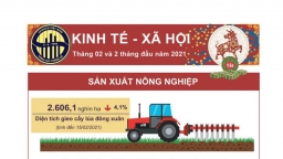 Tình hình kinh tế - xã hội tháng 2/2021